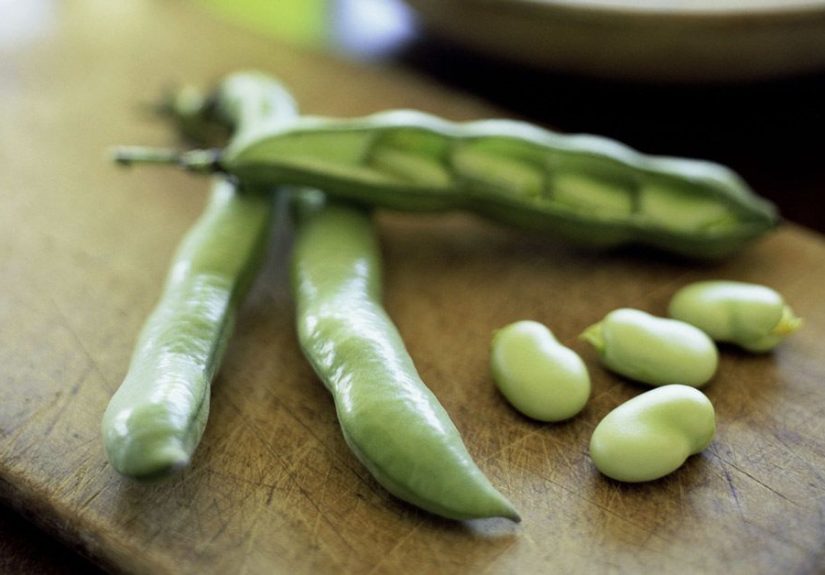 10 Impressive Health Benefits of Fava Beans