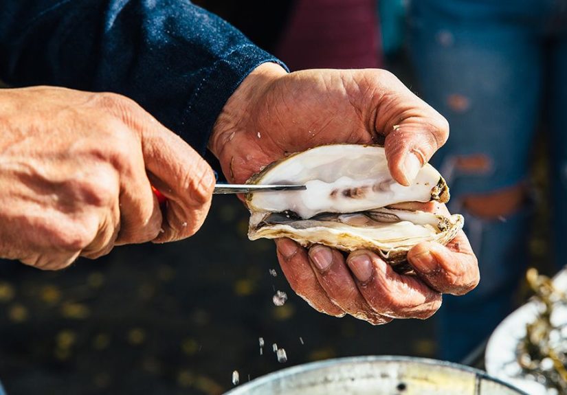 12 Foods That Are Very High in Omega-3