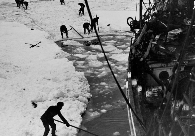 13 Brutal Facts About the Shackleton Expedition