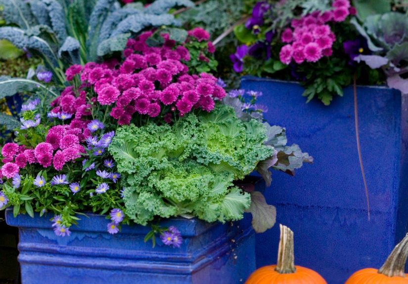 36 Fall Planter Ideas That Bring Seasonal Beauty to Your Doorstep