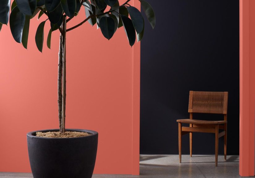 9 Best Interior Paint Colors