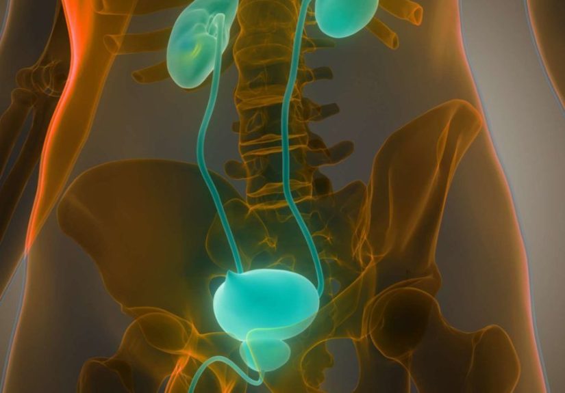 BPH renal failure: Am I at risk?