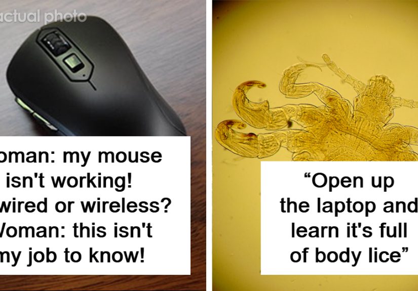 From Funny To Horrifying, 40 IT Professionals Share Their Wildest Jobs