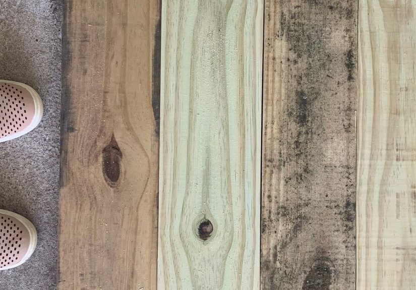 How to Build a DIY Large Wooden Planter