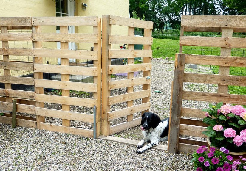 Make a Pallet Fence that will cost you nothing