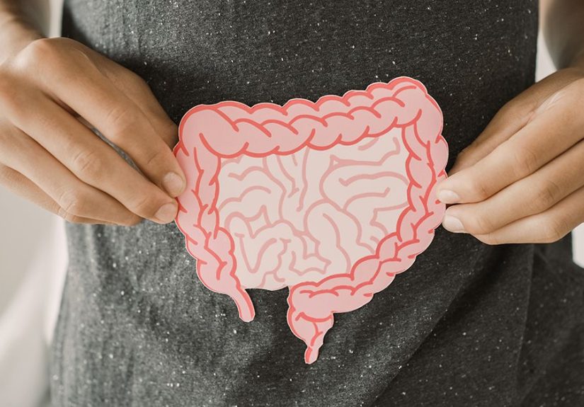 What Does the Appendix Do?