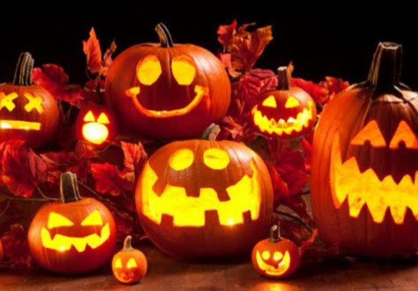 10 Little-Known Facts About Pumpkins
