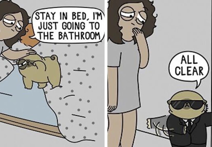 40 Adorable Comics That Hilariously Sum Up What It’s Like Living With A Dog By This Artist