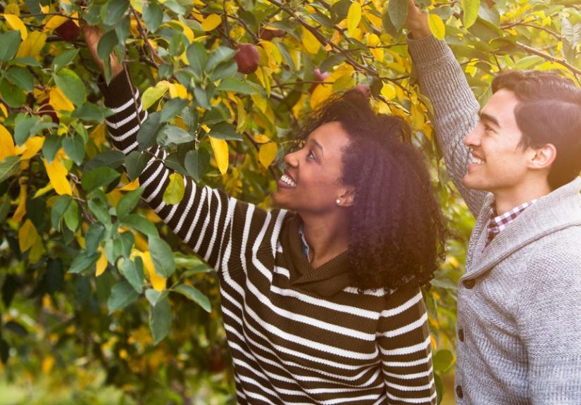 40 Romantic Fall Date Ideas That Are Cheap and Cute 2022