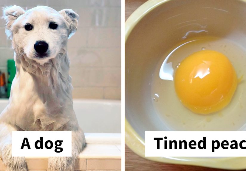 44 Things That Look Like Other Things