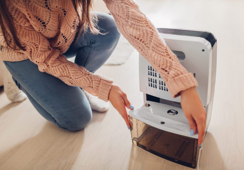 6 Smart Ways to Reuse Dehumidifier Water - Advice From Bob Vila