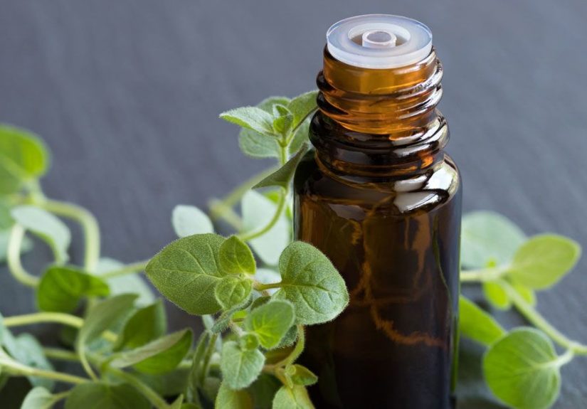 8 Benefits and Uses of Oregano Oil