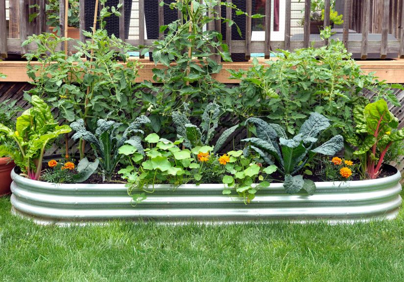 Are Raised Beds Better for Growing Fall Veggies? We Asked Gardeners