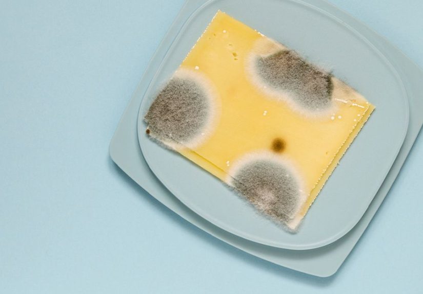 Can You Eat Moldy Cheese?