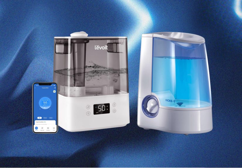Cool Mist vs Warm Mist Humidifiers: Which Is Better for You?