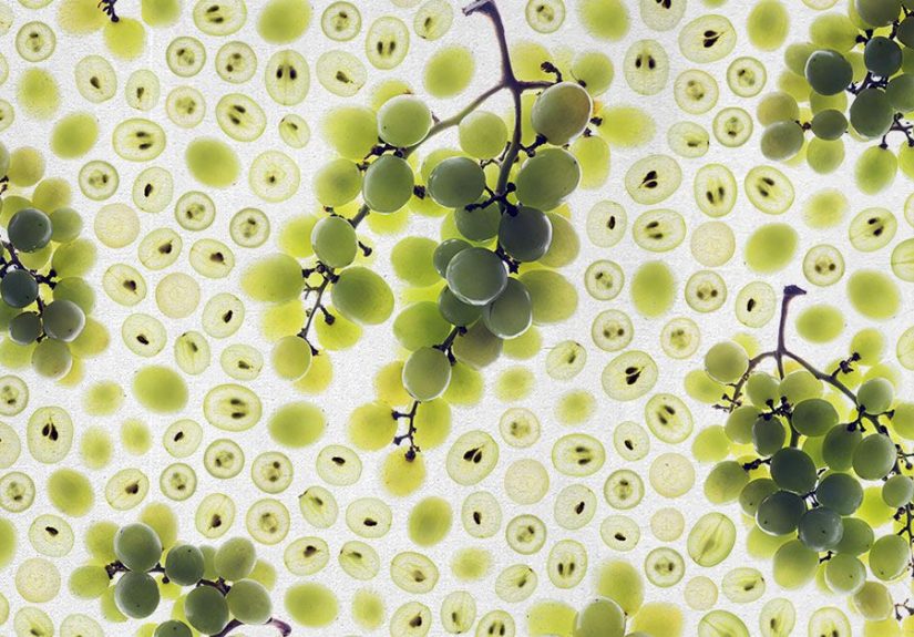 Grape seed extract: Benefits and side effects
