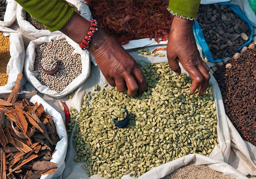 Gut health: Herbs and spices may help boost probiotic bacteria