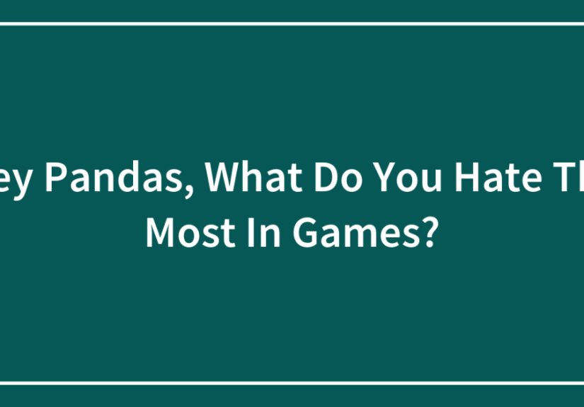 Hey Pandas, What Do You Hate The Most In Games? (Closed)