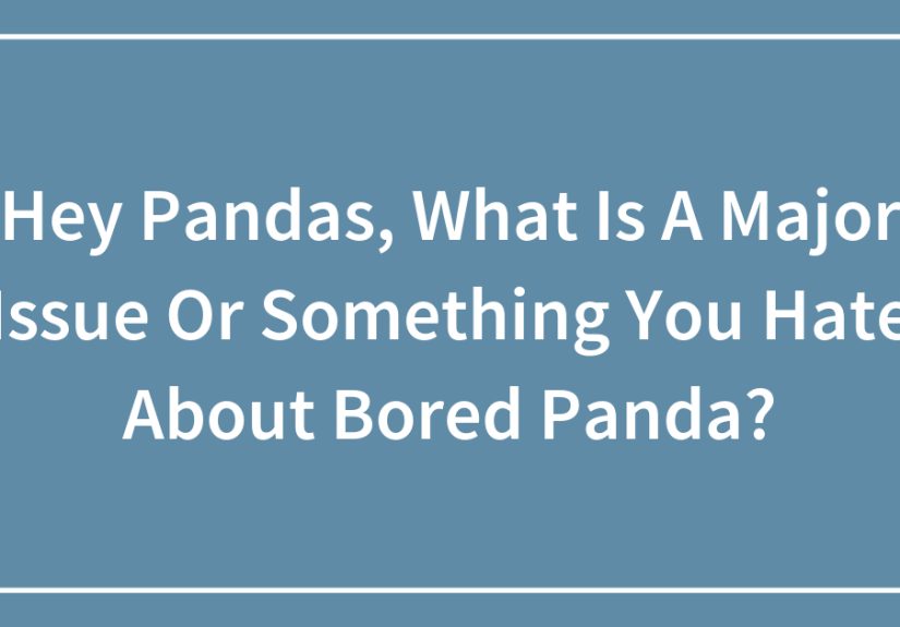 Hey Pandas, What Is A Major Issue Or Something You Hate About ?