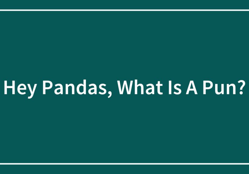 Hey Pandas, What Is A Pun? (Closed)