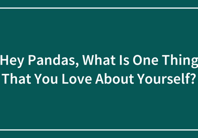 Hey Pandas, What Is One Thing That You Love About Yourself?