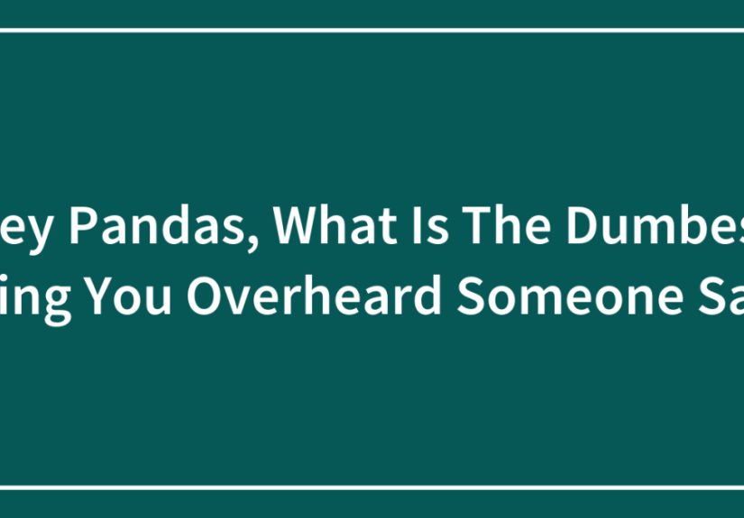Hey Pandas, What Is The Dumbest Thing You Overheard Someone Say?