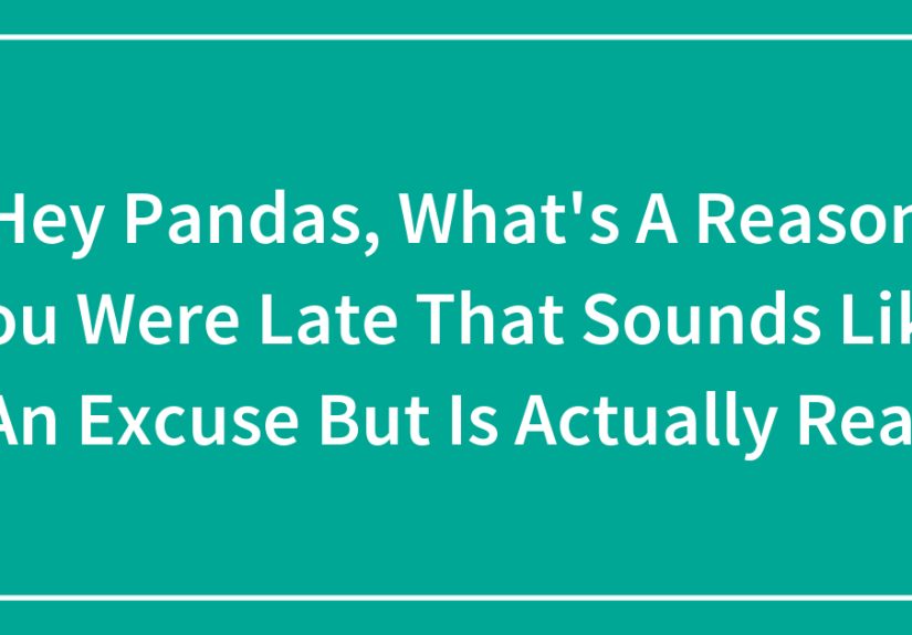 Hey Pandas, What’s A Reason You Were Late That Sounds Like An Excuse But Is Actually Real