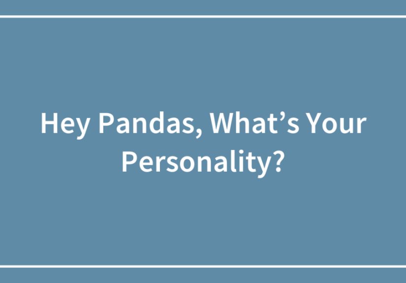Hey Pandas, What’s Your Personality? (Closed)