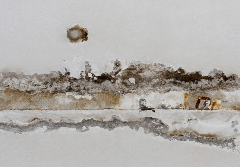 How Long Does It Take to Get Sick from Mold Exposure?