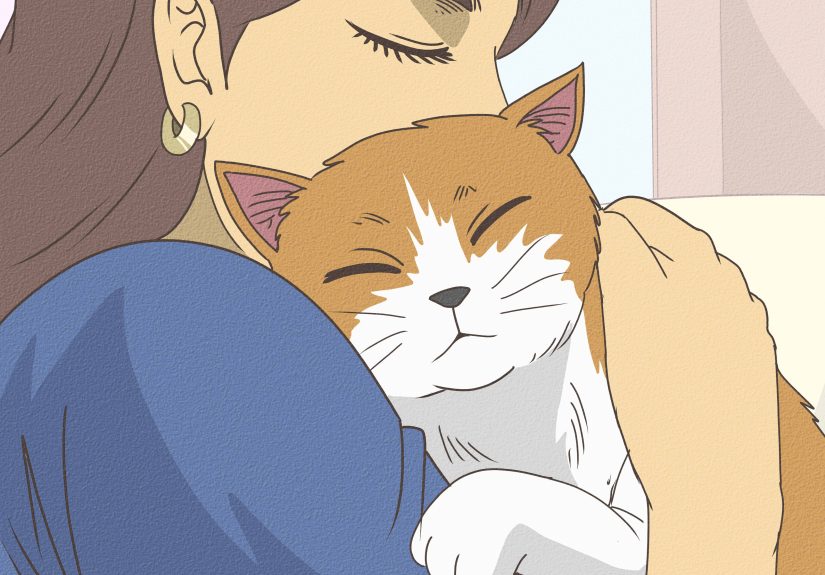 How to Care for a Cat with Feline Leukemia