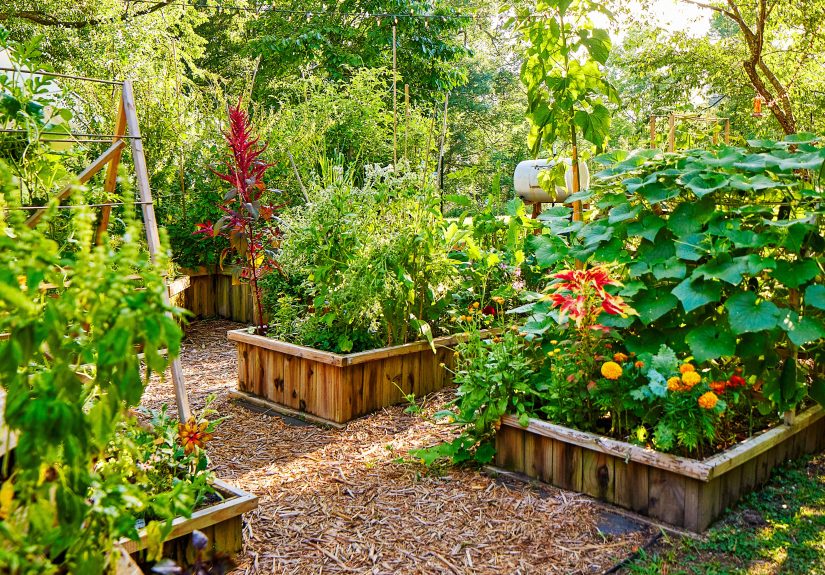 How to Fill a Raised Garden Bed: 3 Affordable Methods