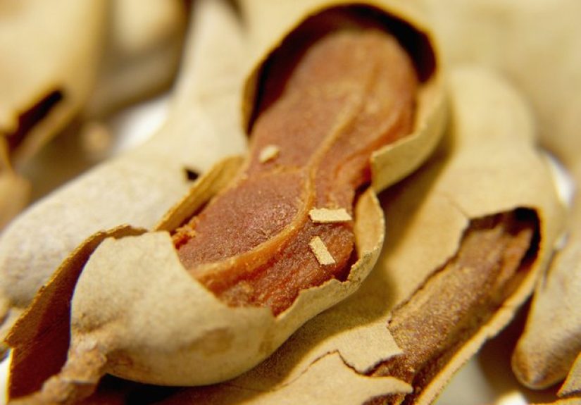 How to Germinate a Tamarind Seed
