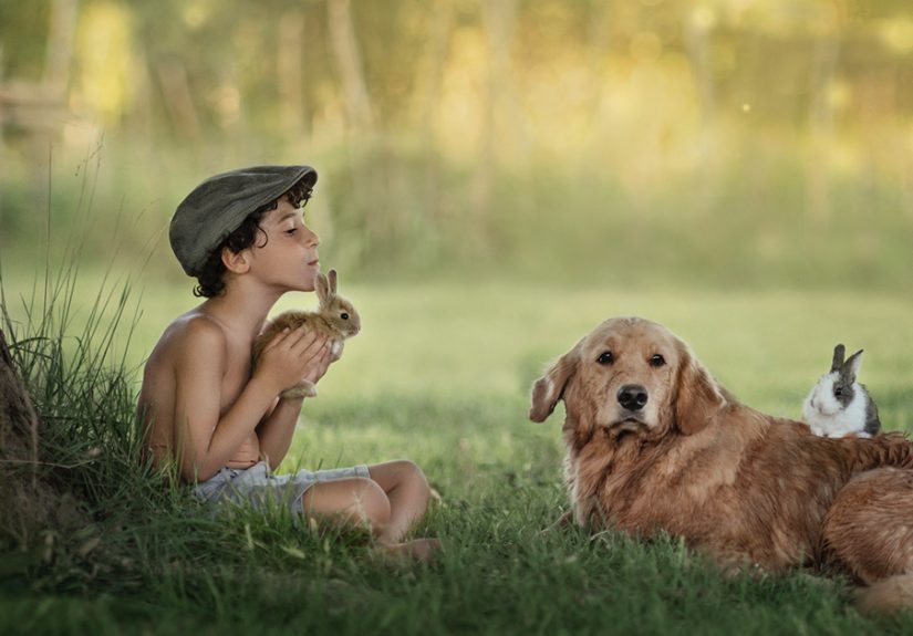 I Capture The Adventures Of Our Son And Our Dog Nana Since The Moment They Met (19 Pics)