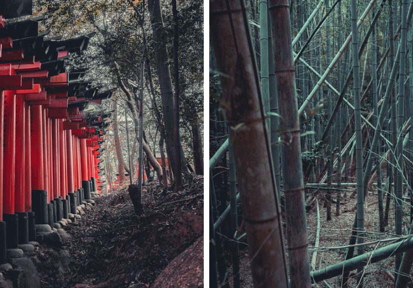 I Spent A Weekend Photographing In Kyoto, Japan And These Are My Favorite Shots (23 Pics)