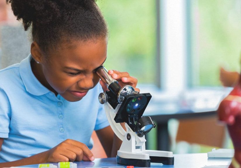 Synaptic Pruning: Definition, Early Childhood, and More