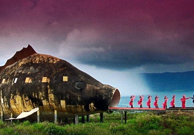 The 25+ Best Foreign Documentaries of All Time