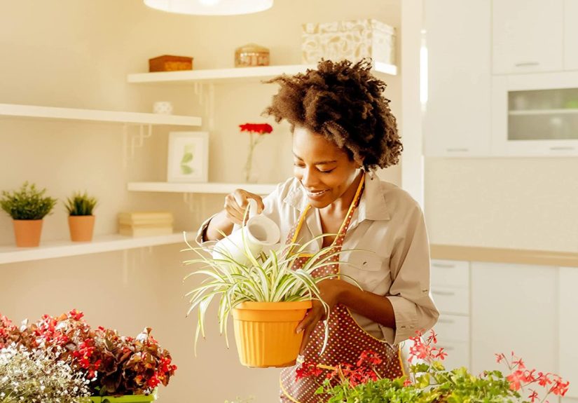 The Best Energy-Efficient Light Bulbs - Picks from Bob Vila