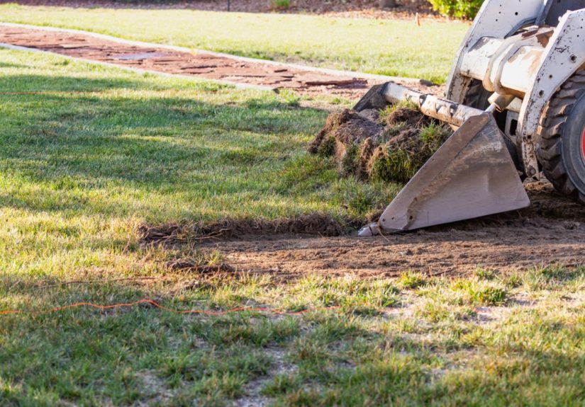 The Government Paid Me to Remove My Lawn - Bob Vila