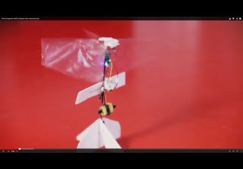 The World’s First Autonomous Flapping MAV