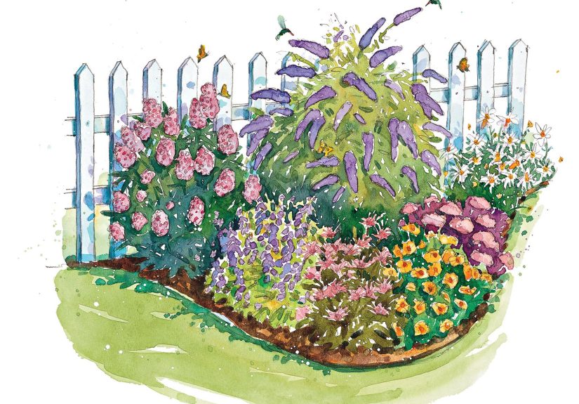 This Bird and Butterfly Garden Plan Is an Easy Way to Attract Pollinators