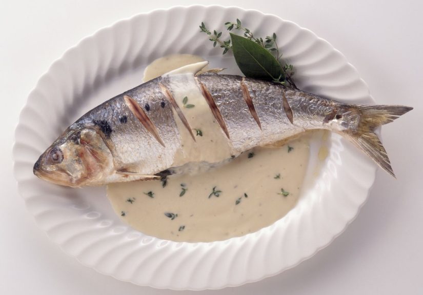 What Is American Shad?