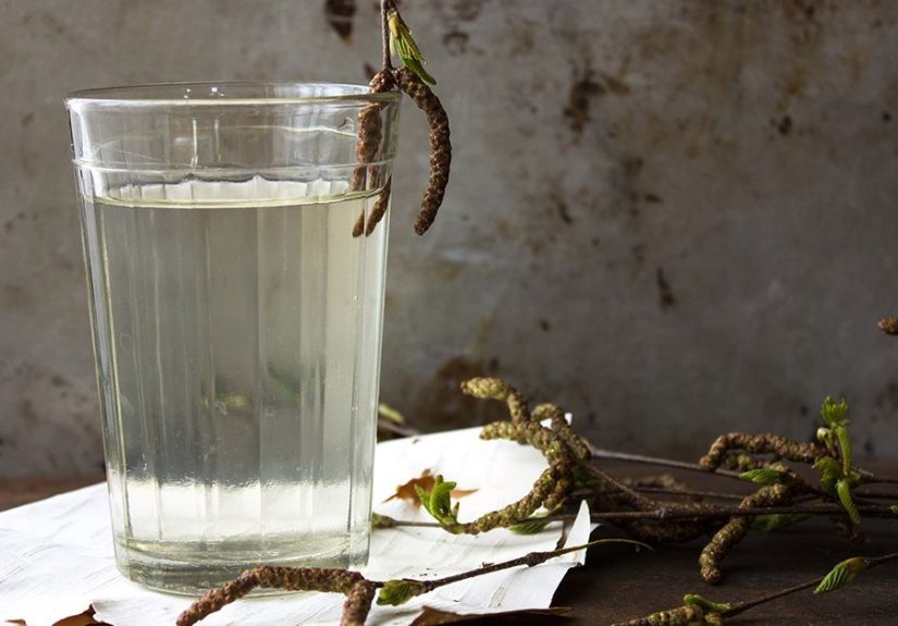 What Is Birch Water? Benefits and Downsides
