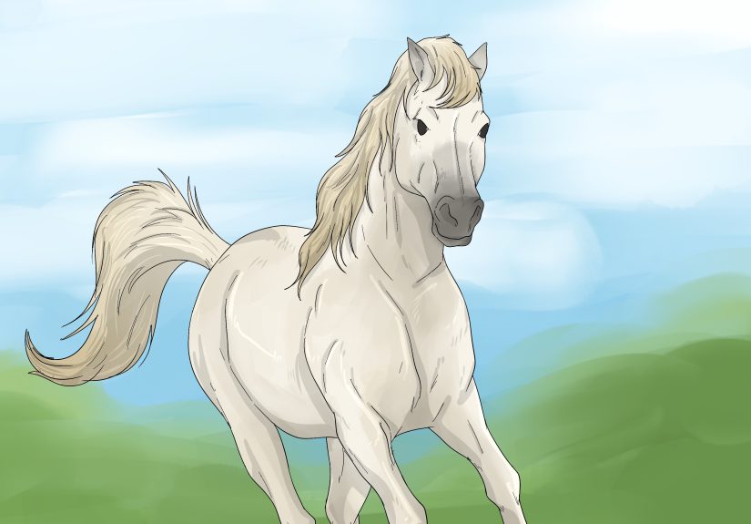 White Horse Meaning: Spiritual, Mythological, & More