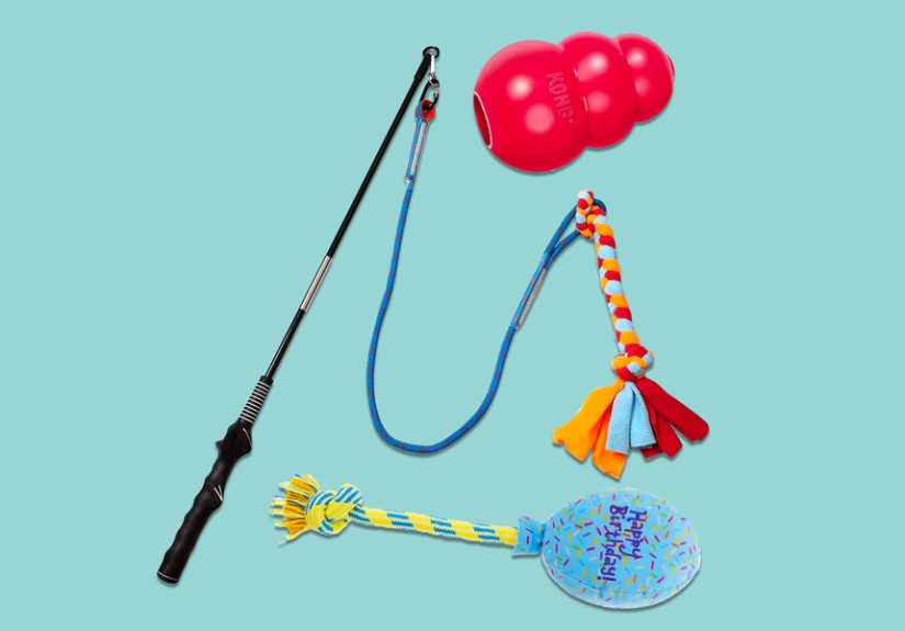 15 Best Dog Toys of 2024 for Large and Small Breeds