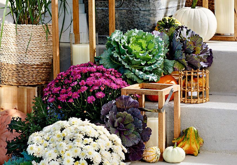 17 Ideas for Decorating with Fall Mums Outdoors