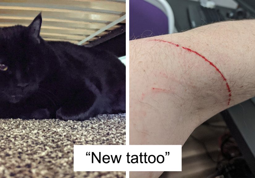 30 Funny “Co-Worker” Updates From People Working From Home