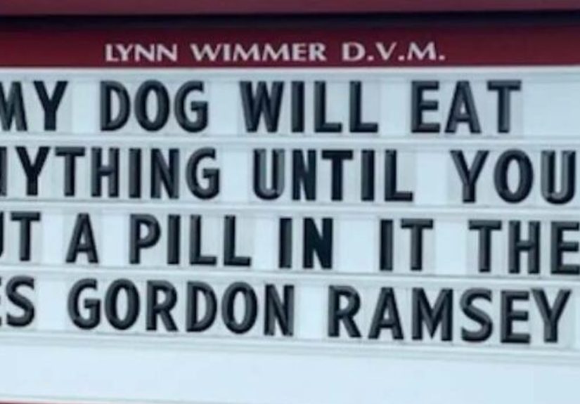 30 Of The Funniest Outdoor Signs From This Vet Clinic To Make You Crack A Smile