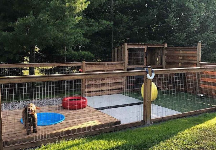 7 Outdoor Dog Kennel Ideas and Designs