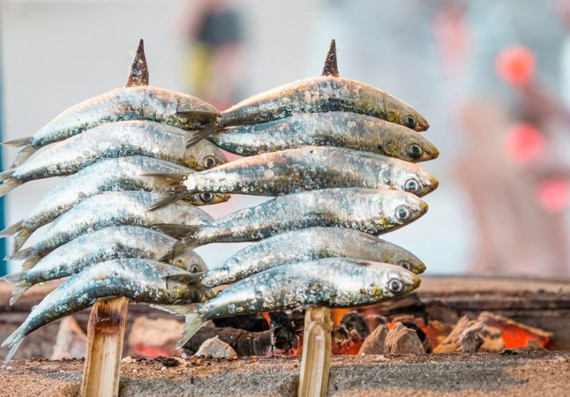 Are Sardines Good for You?