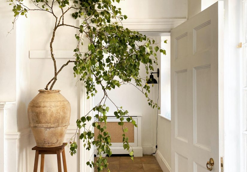 Can Minimalism and 5 Kids Co-Exist? A Design Couple's Child-Friendly, Clutter-Free Home